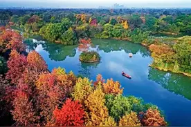 10月29日起，杭州西溪湿地免票区域扩大！从六公园到西溪还有专线开通图片