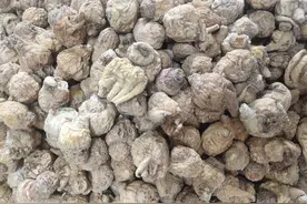 玛卡 所有规格 原图没有修饰 关注我 每天更新中药原图图片