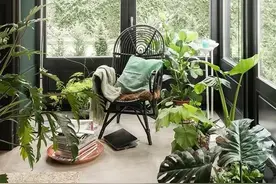 室内太热，竟然是窗户惹的祸？图片