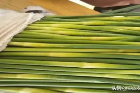 蒜苔黄斑打药没用，这是真的？图片