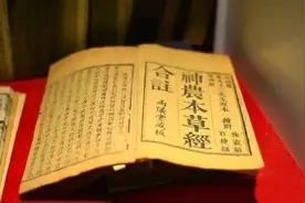 美食快讯：猪皮肠研发成功图片