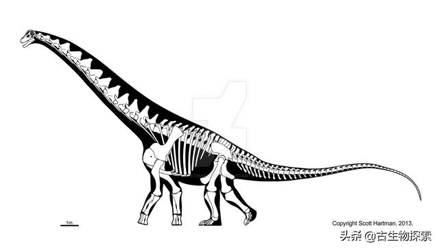 阿拉莫龙是目前年代最晚的巨型蜥脚类恐龙之一,也是唯一可以遇到霸王