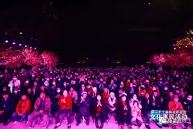 昨夜杨凌“星光灿烂”，你看了吗？图片