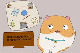 猫每天出去玩时，猫喜欢的3个地方，猫会有固定路线图片