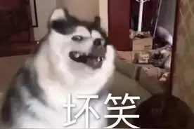 表情包 | 男人要向自己的宝贝弯腰图片