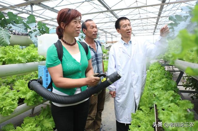 蔬菜喷醋能增产？专家：先别说能否增产，先说喷醋的危害有多大