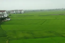 我从三清山回来了，很失望图片