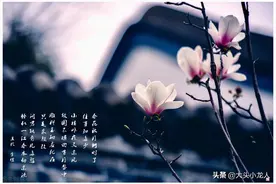 历史人物解读之李煜图片