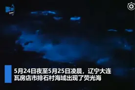 大连海域现“荧光海”宛若蓝色星河，为微生物释放光亮所致图片