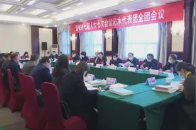 李翠叶 王宏微参加沁水县代表团审议图片