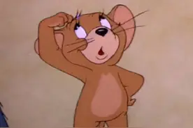 护照全解~快来收藏图片