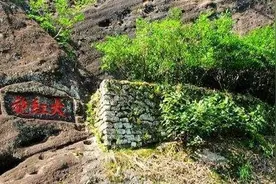 为何茶叶有不同的价格？盘点国内10大最贵茶叶排行图片