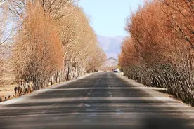 探访西藏边境乡村的冬天，村民放牧守边疆，处处是返璞归真的美景图片