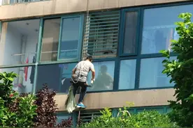 多部门联动！房山这个社区彻底消除“鸽子的烦恼”！图片