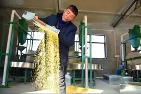 中瑞微视助力一村一品：大木厂招牌—石碾小米图片