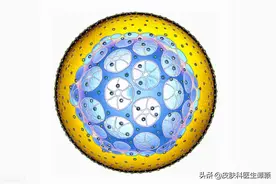 皮肤科医生和你聊聊：生殖器疱疹是怎么回事？可以如何防治？图片
