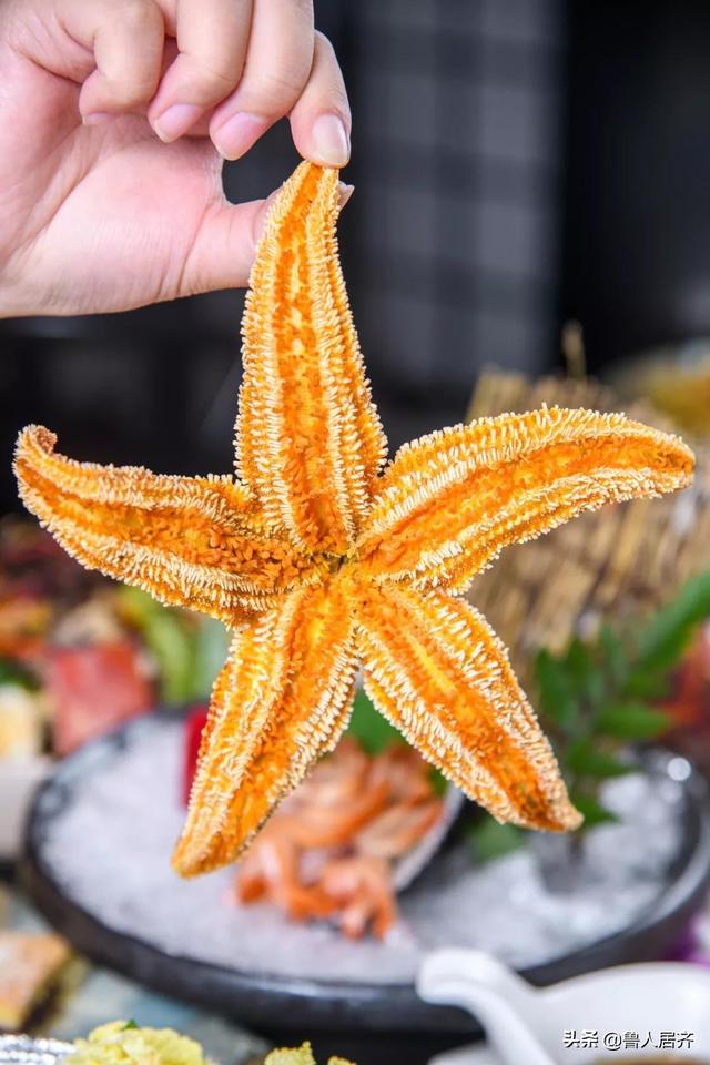 海星花胶的功效与作用及食用方法 2026年海星花胶的功效与作用及食用方