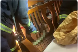 男子上厕所发现蛇盘踞客厅！这算什么？蹲马桶被咬丁丁才恐怖图片