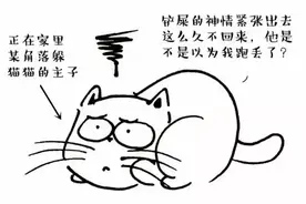 「屎官经验之谈」猫主子跑丢了，该怎么把它找回来？图片