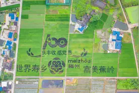 美丽乡村该有的样子！城乡深度融合，“世界寿乡·富美蕉岭”C位出圈图片