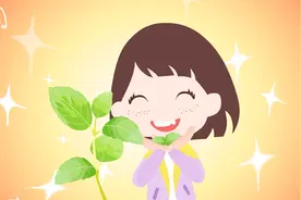 薄荷为什么特别清凉？视频封面