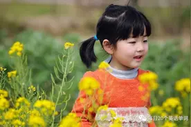 每日20个英语单词图片