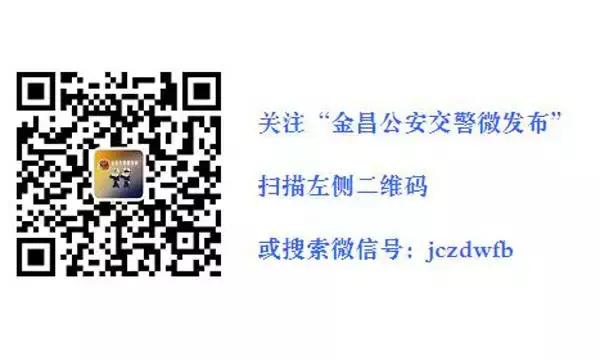 莫慌！新手上路别再“油门”、“刹车”傻傻分不清楚了