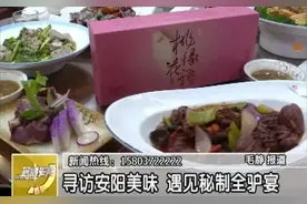 “寻访安阳美味”：遇见秘制全驴宴图片