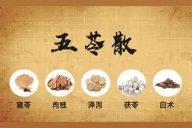 小庸学中医（方剂篇）五苓散-古今利水第一方图片