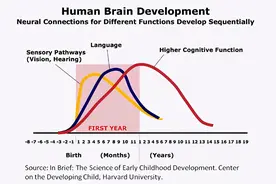 哈佛研究：孩子一生有3次“变聪明”的机会，家长至少要抓住一次图片