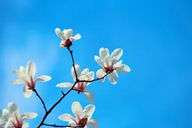 独来独往的人，大多都有这三个特征图片