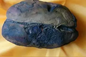 泸州有一种的石头，如今很难寻找，张大千晚年得赠如获至宝图片