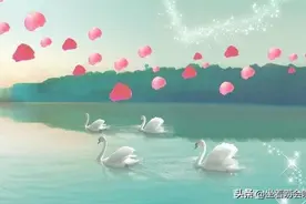 爱，就大胆地说出来；想说爱你不是很容易的事，已经一去不复返了图片