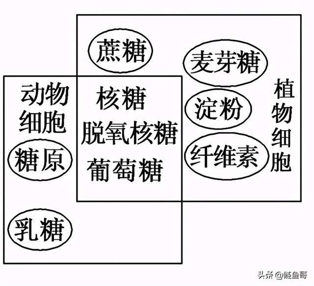 茶叶含有些什么东西？今天给大家科普下
