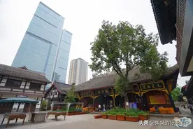 和我在成都最著名的三条街走一走图片