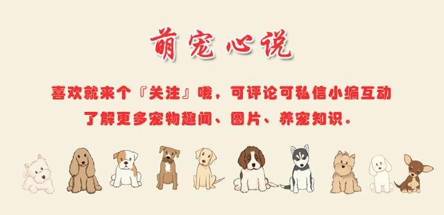 ½èèĪţСèιָϰչСɰ