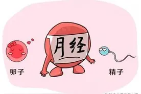 今夜，我们来聊一聊孕妈怀孕第一周的变化图片