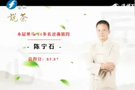 第二届安溪铁观音大师赛十强名录之陈宁石视频封面