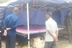 原来农村的旧棉被是这样翻新的、怪不得外面买便宜的棉被都不暖和视频封面