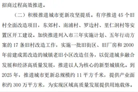 番禺下半年旧改计划流出，这10条村将引入改造合作企业图片