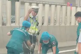 郑州一出租车司机 在陇海高架行驶途中突发疾病死亡图片