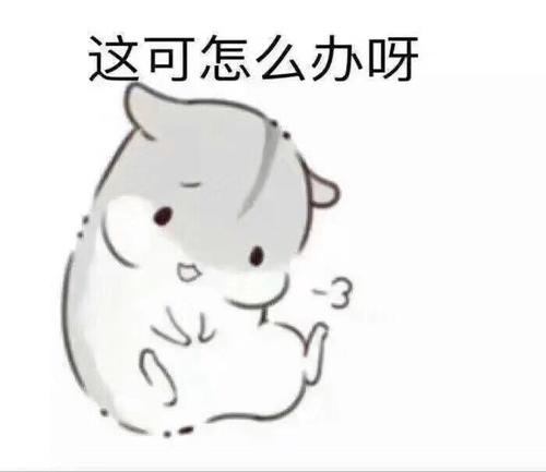 ��վ�Ż�С����