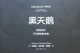 《黑天鹅——如何应对不可预知的未来》2图片