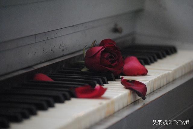 情感散文：镌刻在灵魂深处的《卡农》