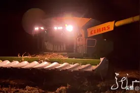 黑龙江垦区：“抢粮”夺丰收图片