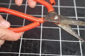 剪刀不管有多钝，都别扔了，教你一个绝招，瞬间锋利如新，太棒了图片