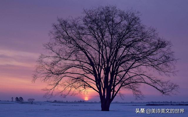 立冬古诗李白原文（全唐诗最美立冬诗）