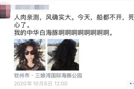 “名媛圈”的公关操作手法图片