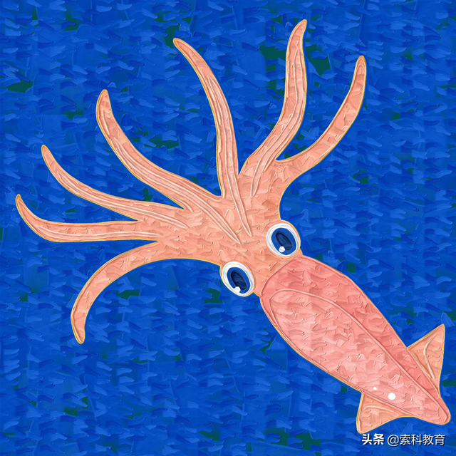 史上最全的高中生物知识点，一定要看