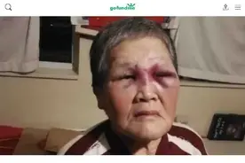 发生阿婆反杀的地方，竟然是全美国最多人说粤语的城市图片